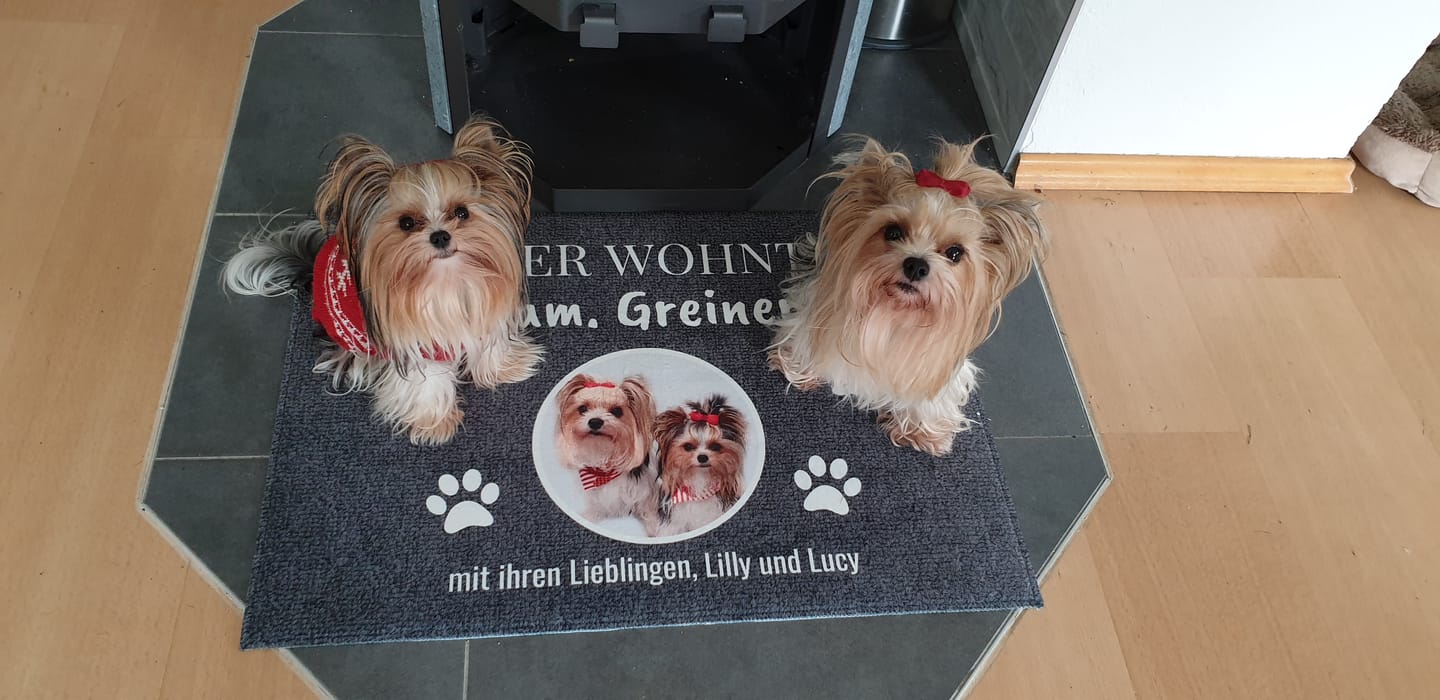 Customer photo review of Spähende Haustiere - Individuelles Türschild