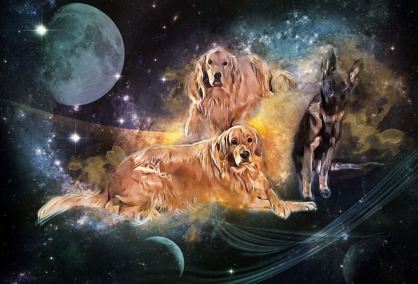 Customer photo review of Watercolor Pet Art - Pet Galaxy (PG)