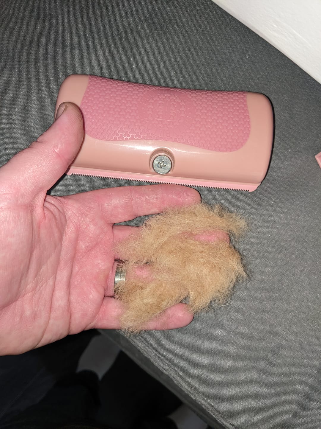 Customer photo review of BullyBillows Complete Animal Deshedding Kit - Pink