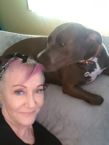 Customer photo review of GUT + IMMUNE HEALTH FOR DOGS. NATURAL HEALTHY BISCUITS.