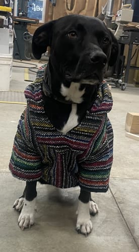 Customer photo review of Playa Poncho - Surprise Color