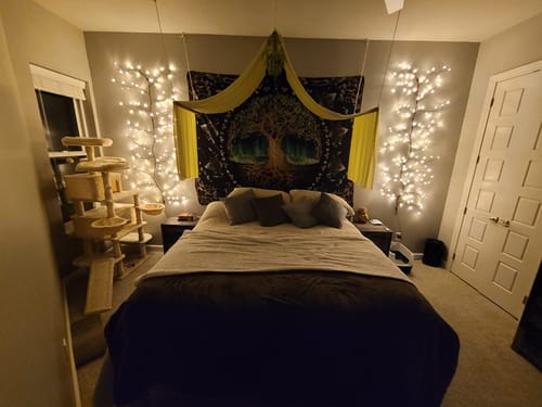 Customer photo review of Enchanted Willow Vine Lights