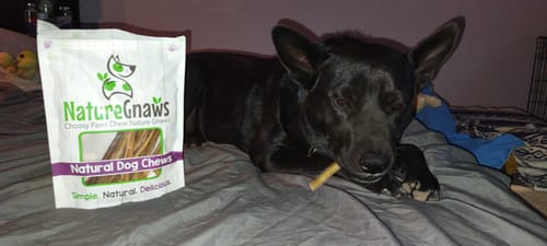 Customer photo review of Extra Thin Bully Sticks 6"
