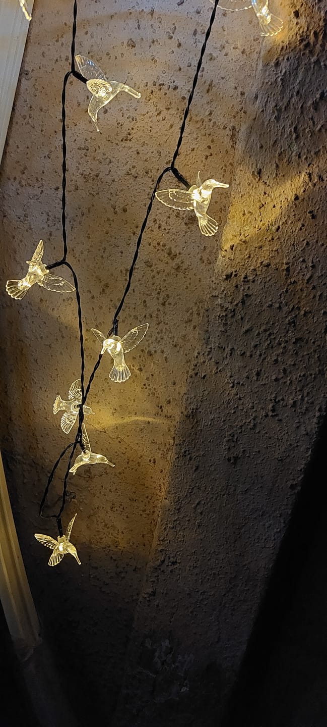 Customer photo review of Colibrís Solares - IP65 Luz Cálida/Colores Largo 5 m