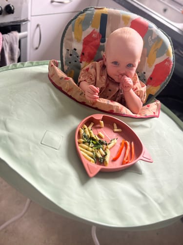 Customer photo review of Bib & Tray Kit