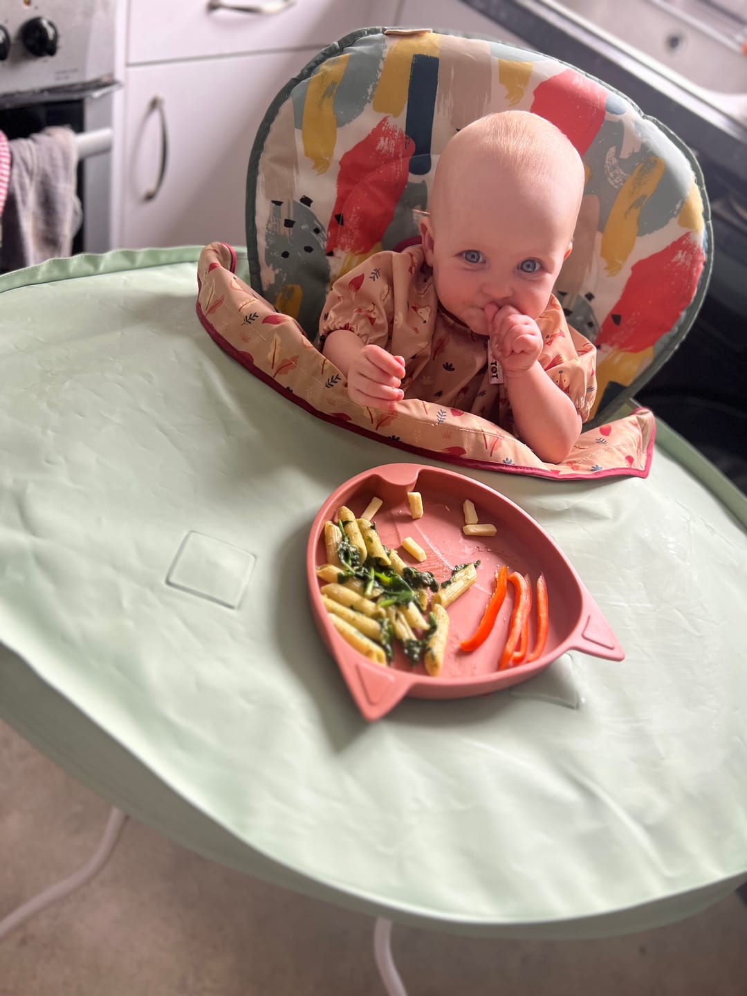 Customer photo review of Bib & Tray Kit