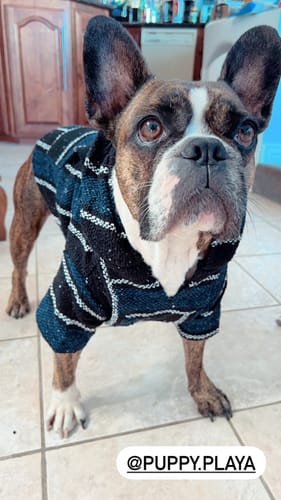 Customer photo review of Playa Poncho - Surprise Color