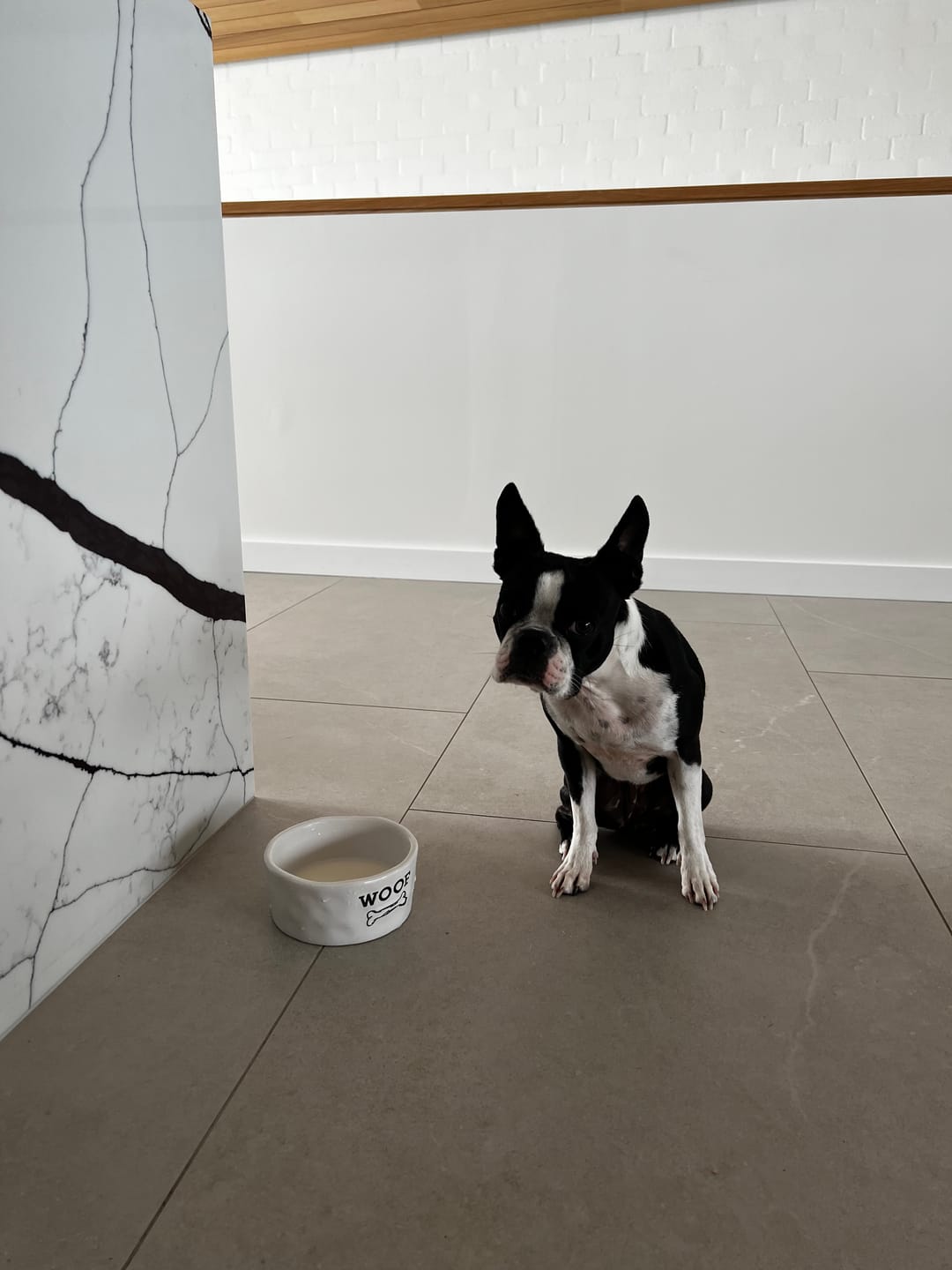 Customer photo review of Grass-Fed Beef Bone Broth Concentrate