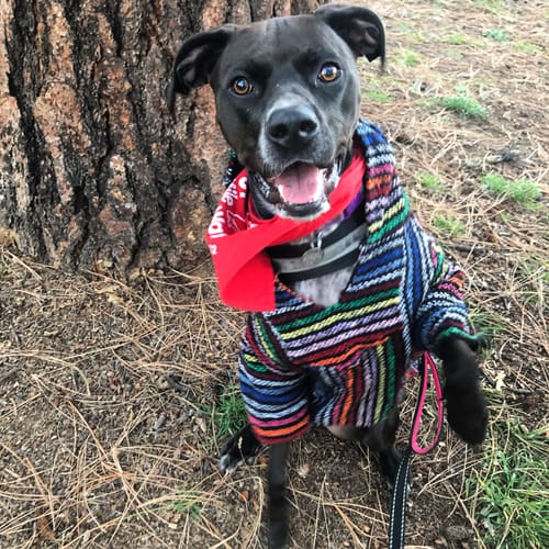 Customer photo review of Playa Poncho - Surprise Color