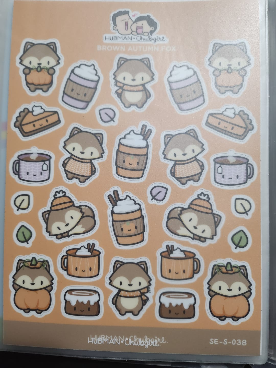 Customer photo review of Brown Fox Sticker Sheet