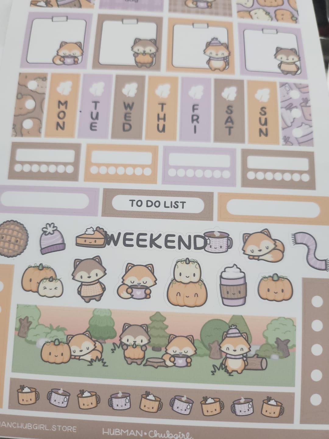 Customer photo review of Autumn Theme Hobonichi Weeks Kit