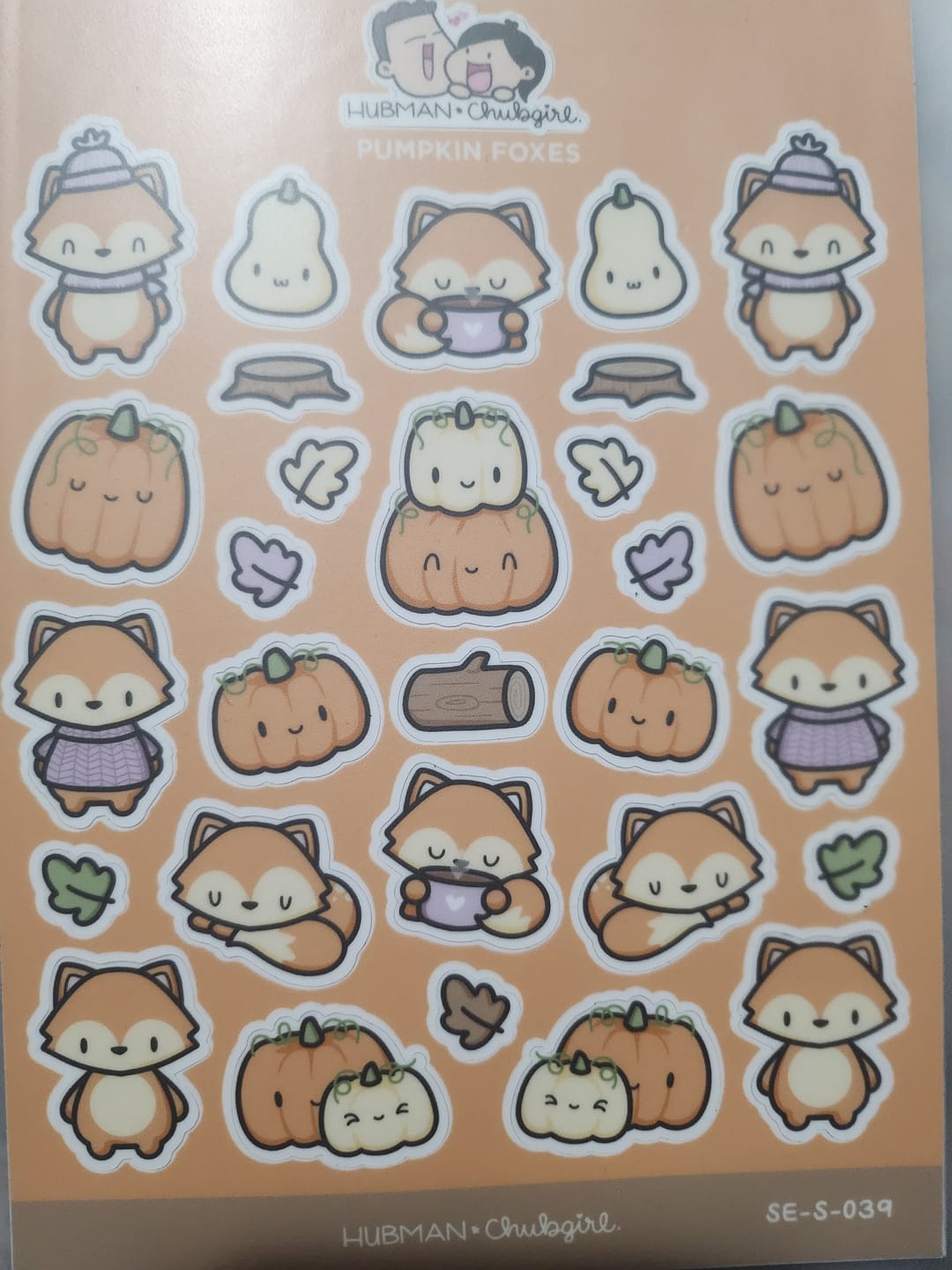 Customer photo review of Pumpkin Fox Sticker Sheet