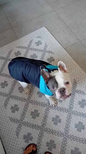 Customer photo review of Piumino Dettaglio Celeste Pettorina integrata Personalizzabile con nome