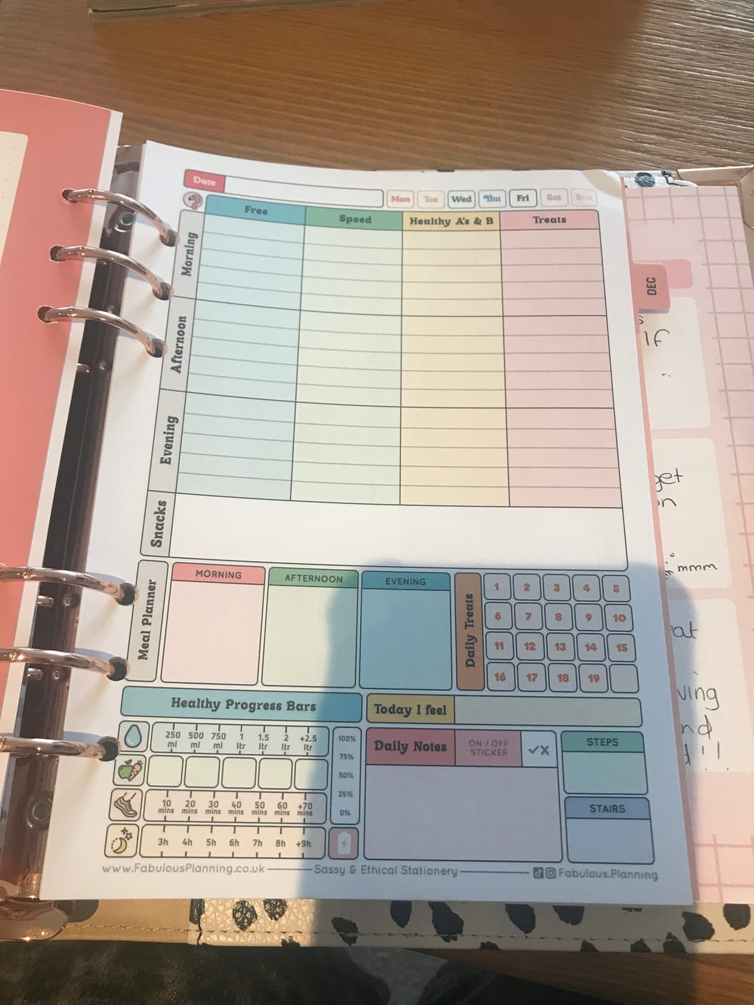 Customer photo review of Slimming World - Compact - Organiser Refill