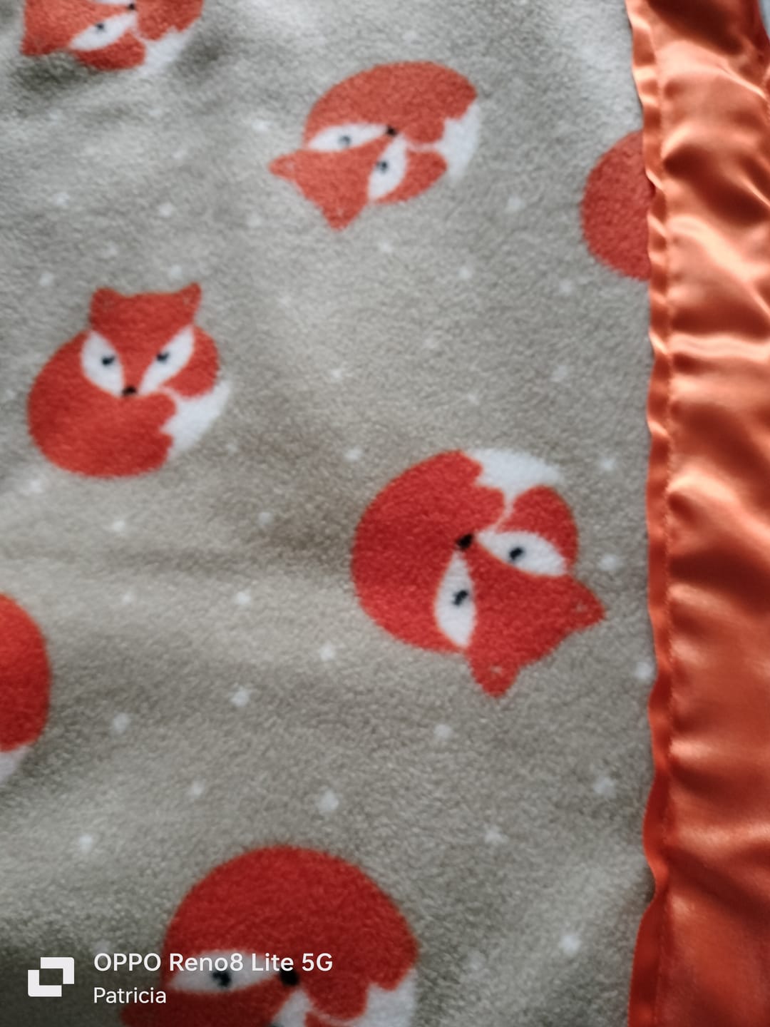 Customer photo review of Sleeping Foxes Anti Pill Polar Fleece Fabric