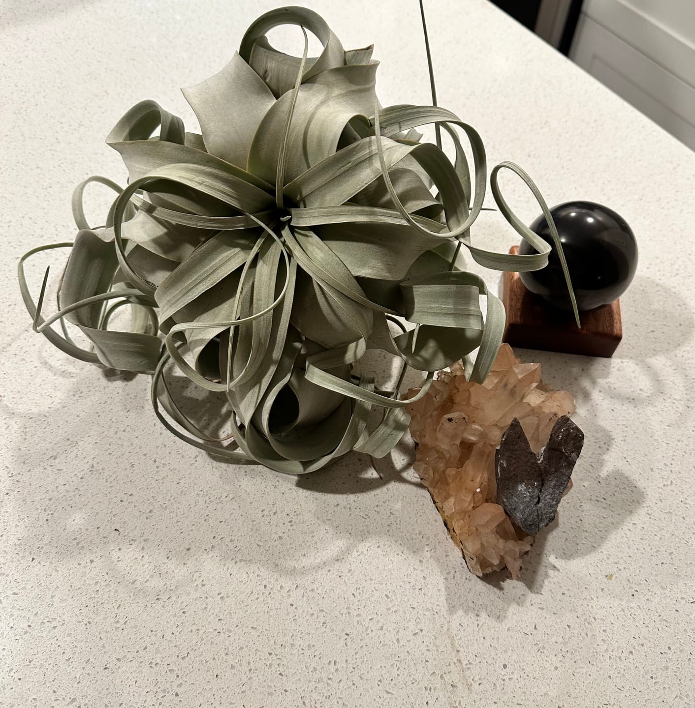 Customer photo review of Genuine Black Shungite Sphere | 75mm, 3 Inch, Custom Mahogany Stand