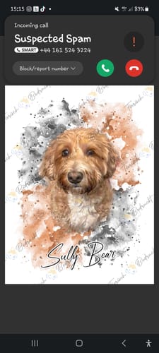 Angela V. review of Your Cat as Watercolor Portrait image 1 out of 1