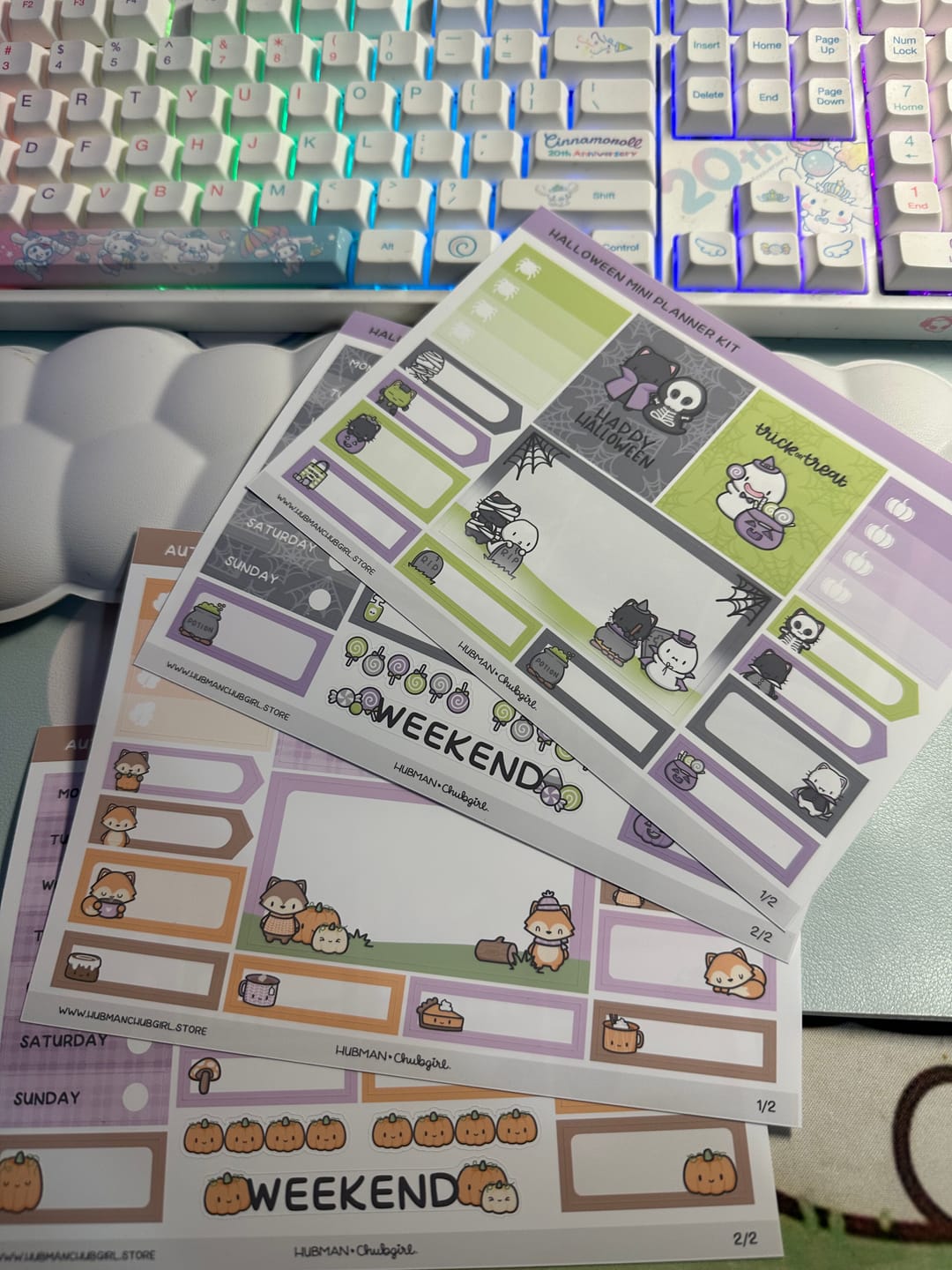 Customer photo review of Autumn Mini Planner Kit (Set of 2)