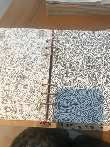 Customer photo review of Inserts - Sassy & Explicit Colouring Pack