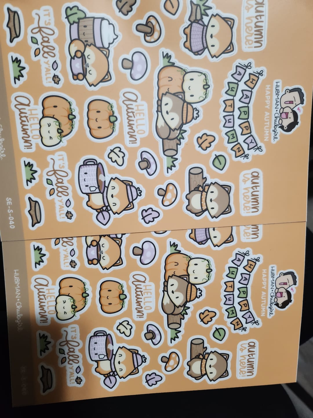 Customer photo review of Happy Autumn Sticker Sheet