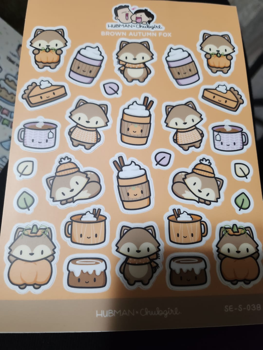 Customer photo review of Brown Fox Sticker Sheet