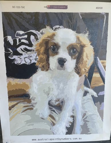 Customer photo review of Custom Paint By Numbers