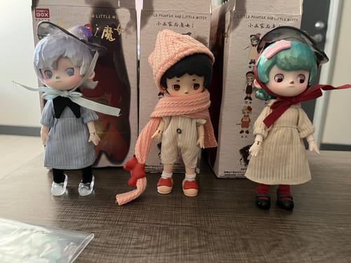 Customer photo review of Puppet Kingdom Little Painter And Little Witch Action Figure BJD Blind Box