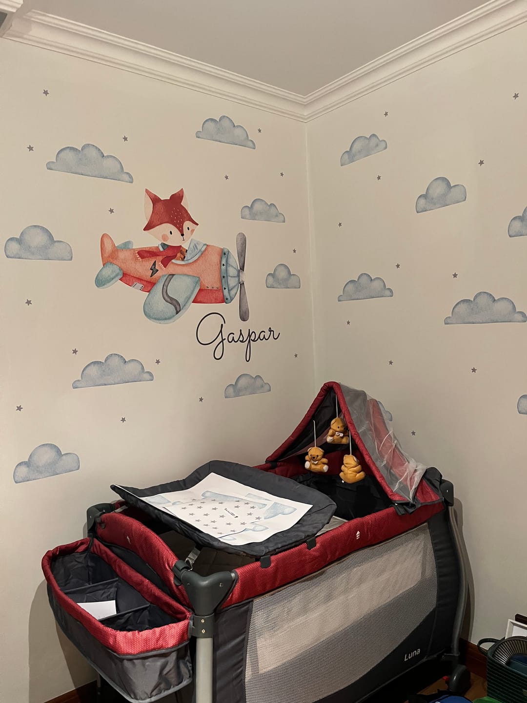 Customer photo review of Zorrito aviador