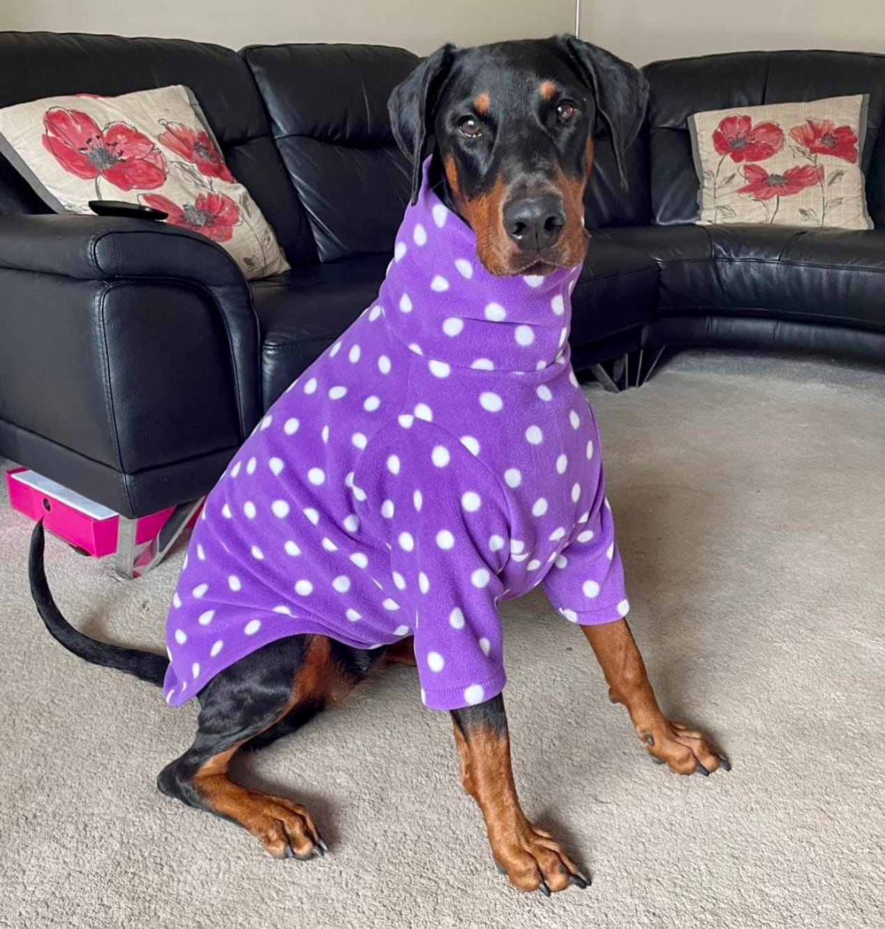 Customer photo review of White Polka Dot Anti Pill Polar Fleece Fabric