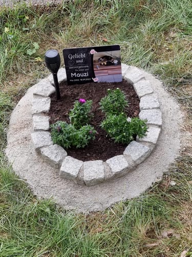 Customer photo review of Katzen Gedenktafel mit Foto & Spruch (UV- UND WETTERFEST)