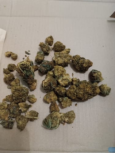 Customer photo review of 🍋 👑 Lemon King x 40%HHC