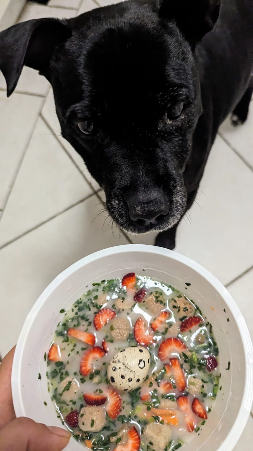 Customer photo review of Grass-Fed Beef Bone Broth Concentrate