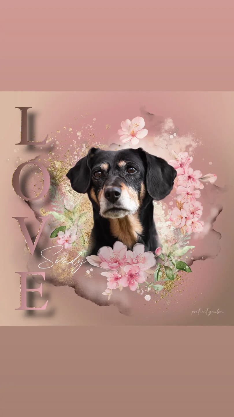 Customer photo review of Dein Love-Design