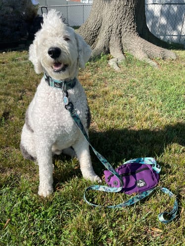 Customer photo review of Fanny Pack-Plum