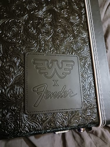 Customer photo review of Fender Telecaster Guitar Case