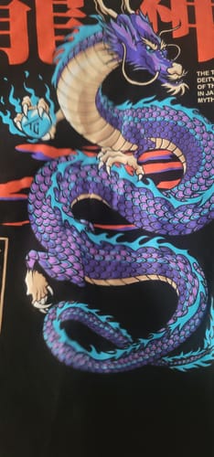 Customer photo review of DRAGON BALL TEE
