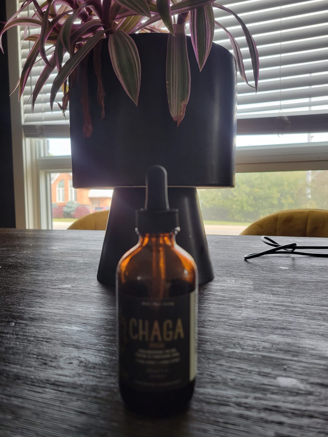 Customer photo review of Wild Chaga Immune: 1:5 Chaga Mushroom Dual Extract Tincture