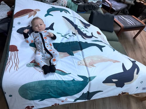 Customer photo review of Under The Sea · Maxi