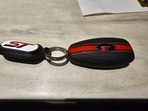 Customer photo review of Keyless Key Cover Gel Badge Inlay ST or RS