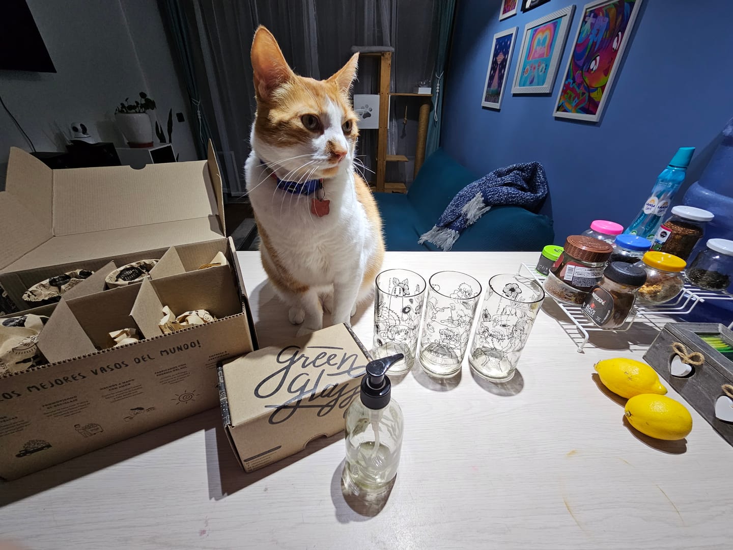 Customer photo review of Studio Glass - Juego de 6 Vasos