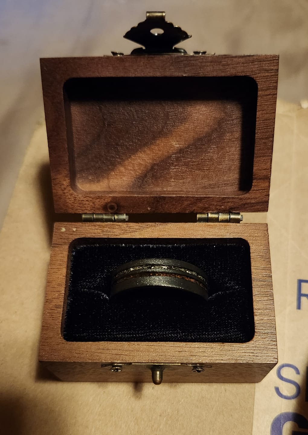 Customer photo review of The Meteorsaur