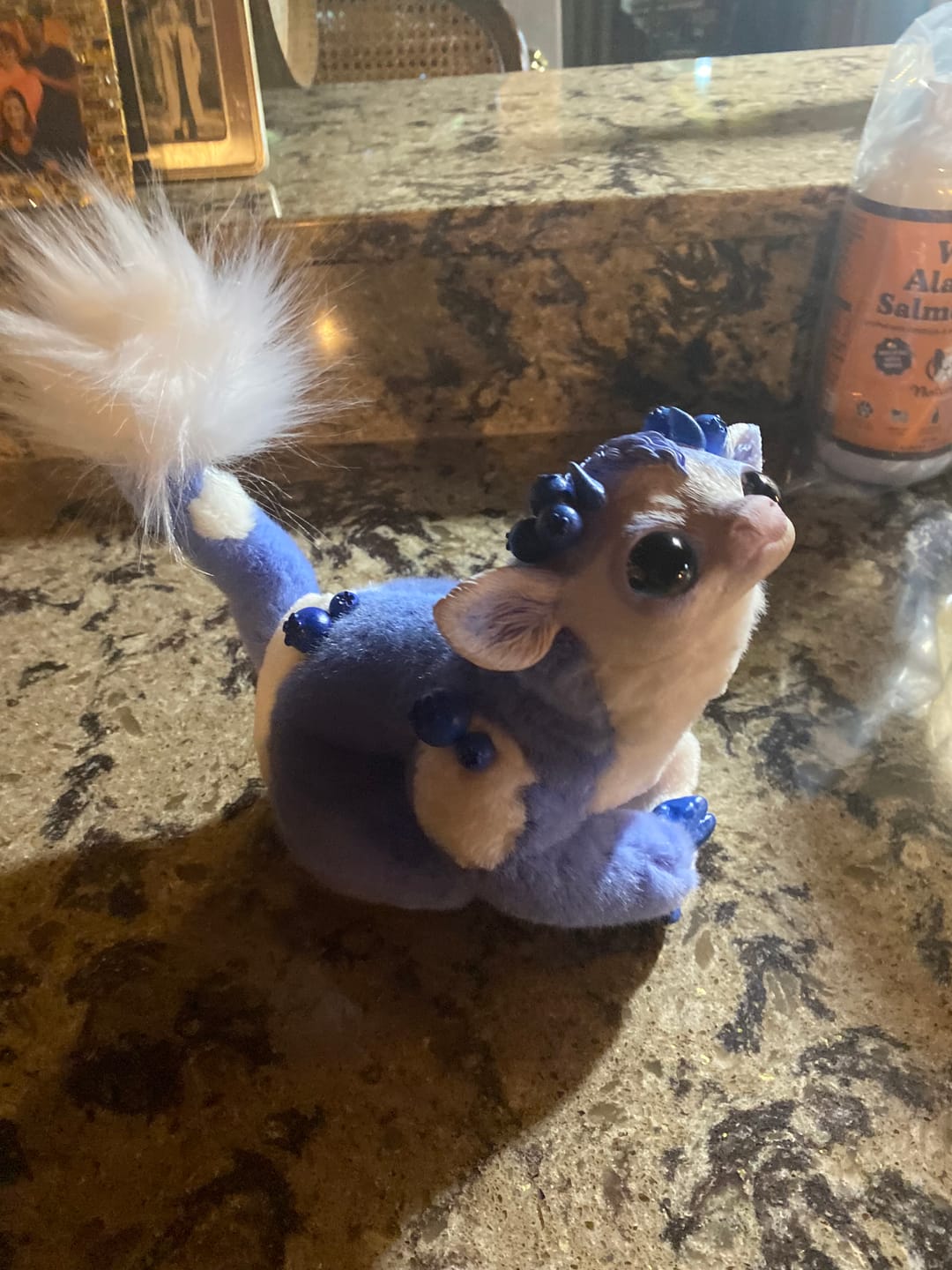 Customer photo review of Blueberry cow
