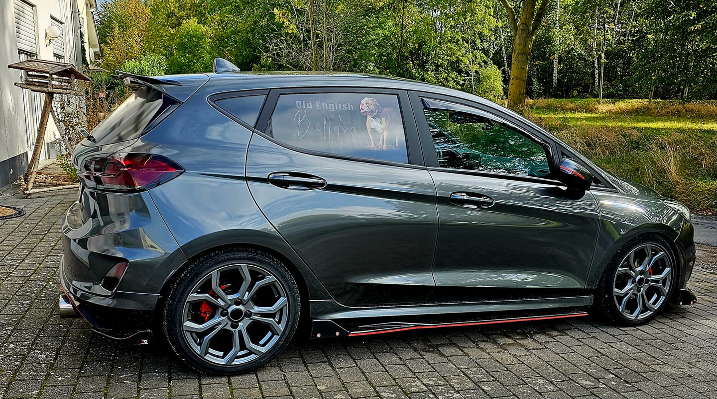 Customer photo review of Proform New 'Shark Fin' Aerial - Mk8/8.5 Ford Fiesta / Mk2 Puma