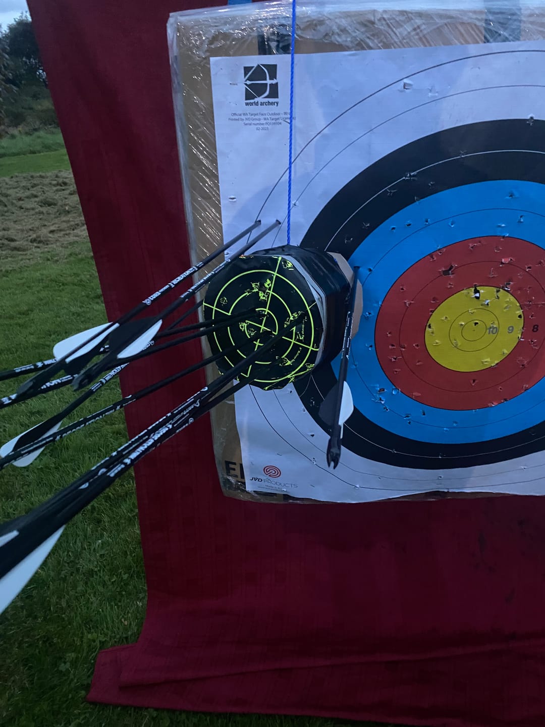 Customer photo review of 30" Fiberglass Arrows 5 Pack