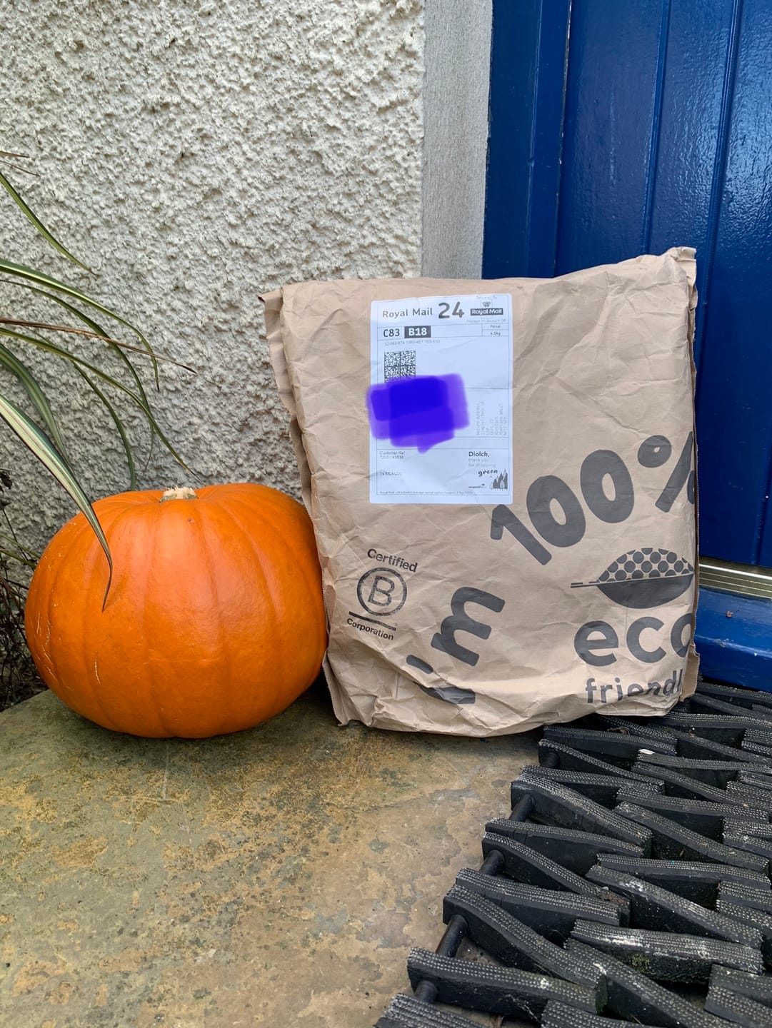 Customer photo review of Compostable Mailing Bags