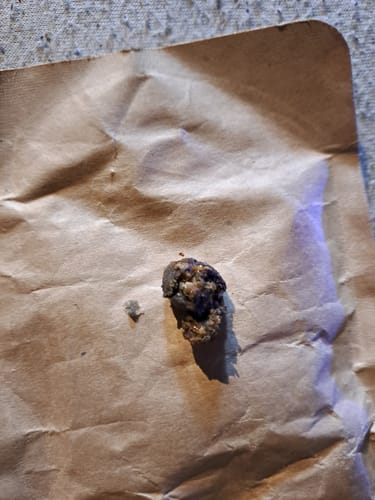 Customer photo review of 🌙 🪨 Moonrocks x 55% HHC