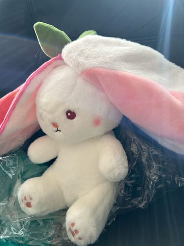 Customer photo review of Bunny Bites™