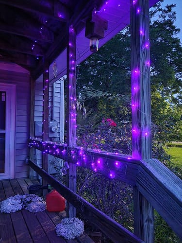 Customer photo review of Smart LED Christmas Tree Lights