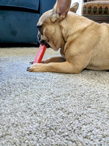 Customer photo review of STRAWBERRY LARGE CHEW (ONE SIZE)
