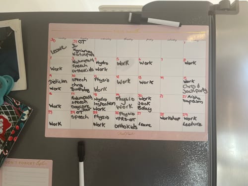 Customer photo review of NEW Blush Magnet Planner Set